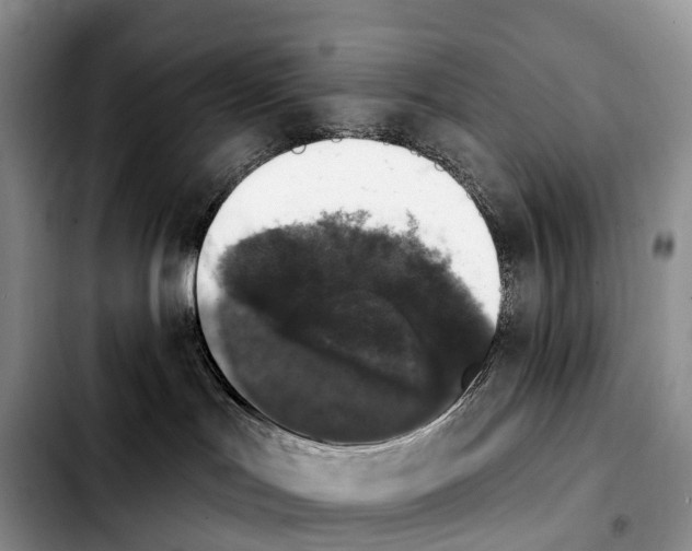 X0000103950047200810101448