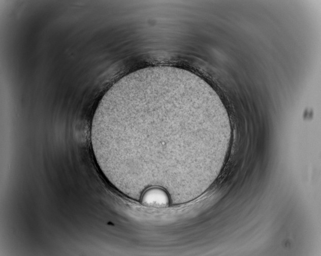 X0000103950048200810101448
