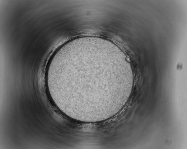 X0000103950050200810101447