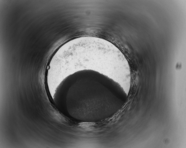 X0000103950051200810101447