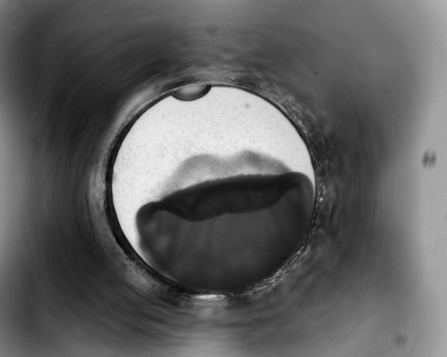 X0000103950053200810101447