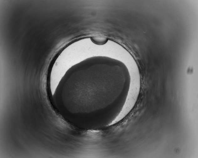 X0000103950055200810101447