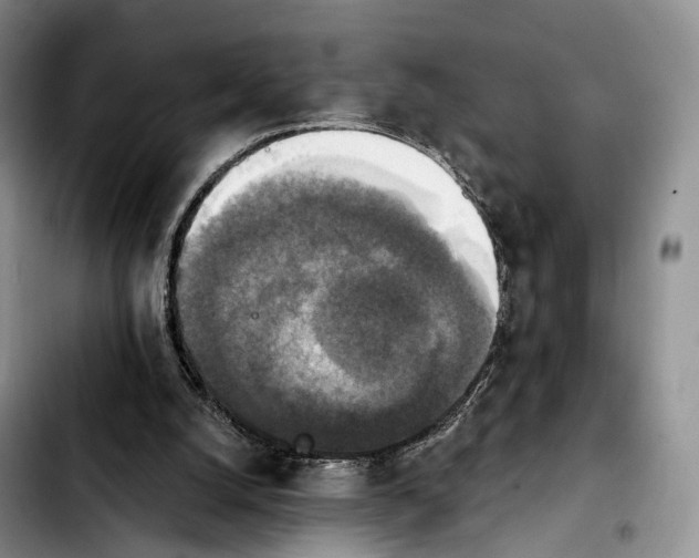 X0000103950056200810101447