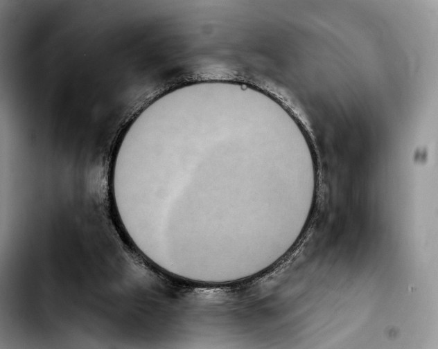 X0000103950057200810101447