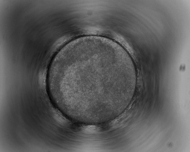 X0000103950058200810101447