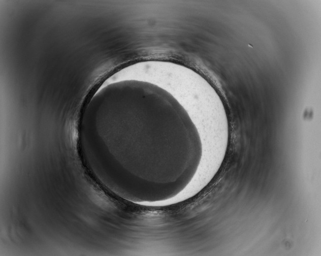X0000103950059200810101447