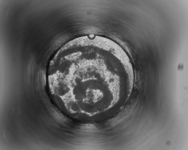 X0000103950061200810101447
