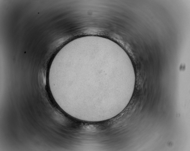 X0000103950062200810101447