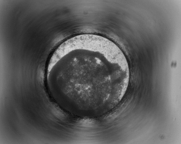 X0000103950063200810101447