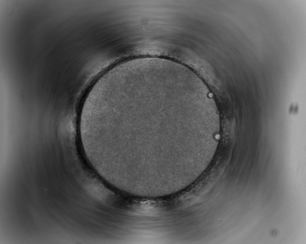X0000103950064200810101447