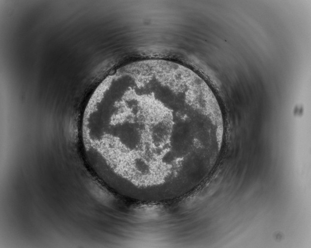 X0000103950065200810101447