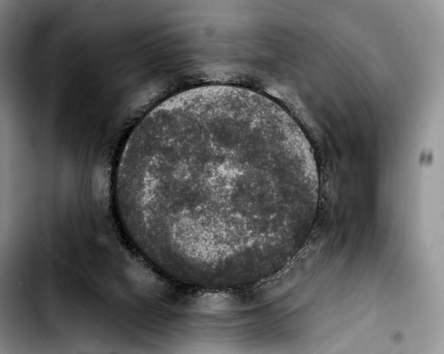 X0000103950066200810101447