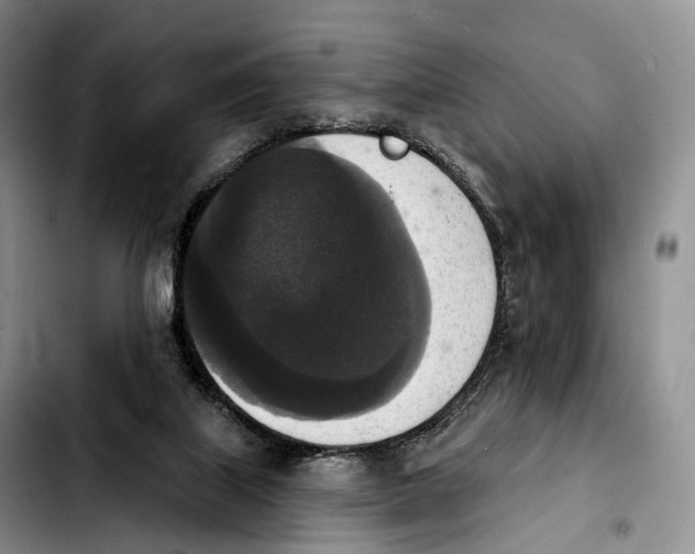 X0000103950067200810101447