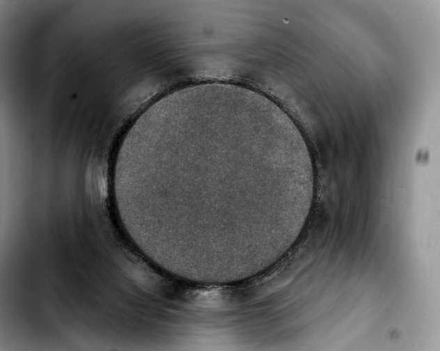 X0000103950068200810101447