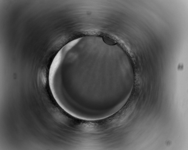 X0000103950069200810101447