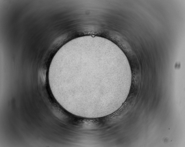X0000103950070200810101447