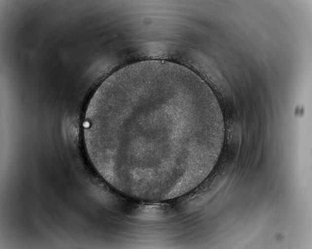 X0000103950072200810101447