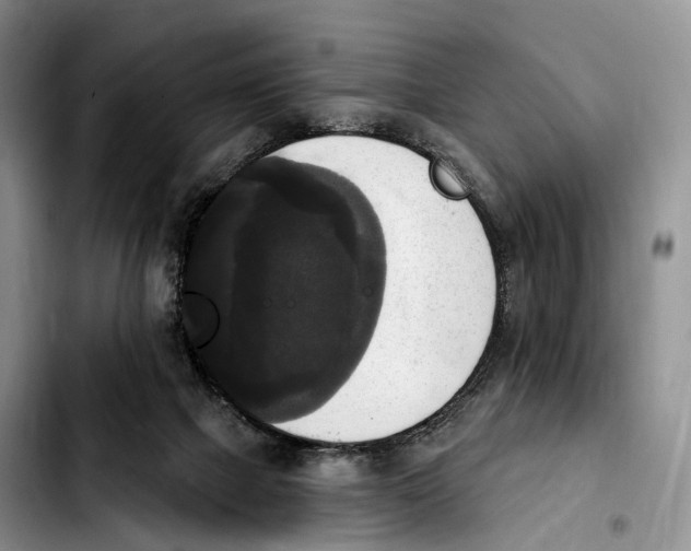 X0000103950073200810101447