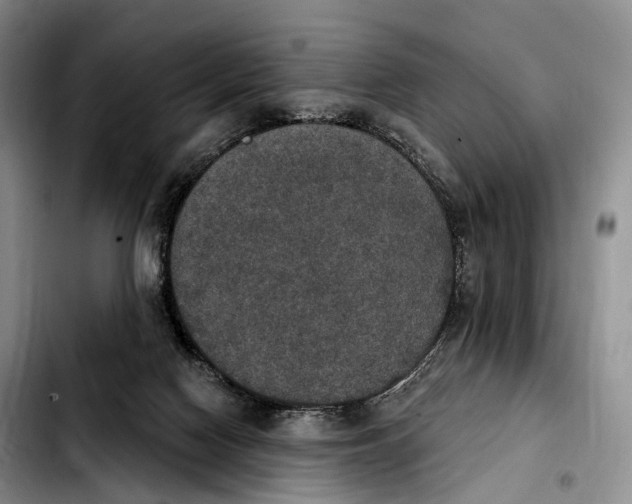 X0000103950074200810101447