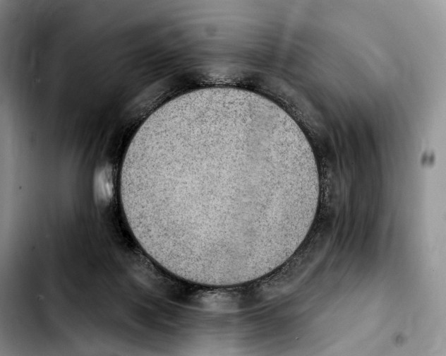 X0000103950075200810101447