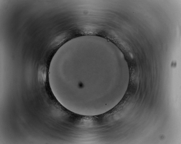 X0000103950076200810101447