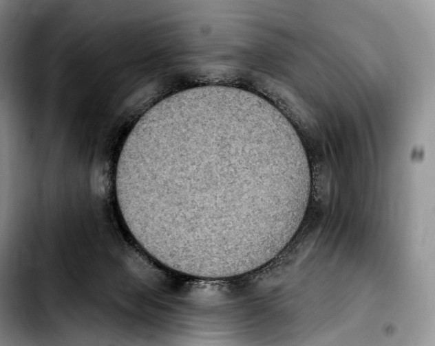 X0000103950077200810101447
