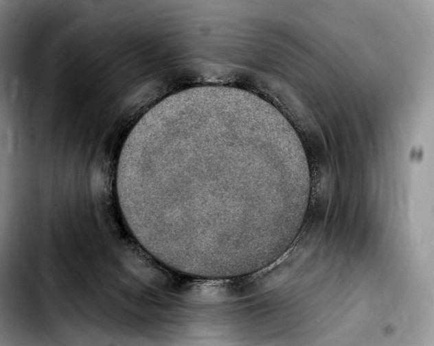 X0000103950078200810101448