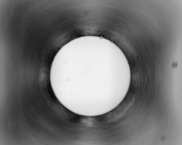 X0000103950079200810101448