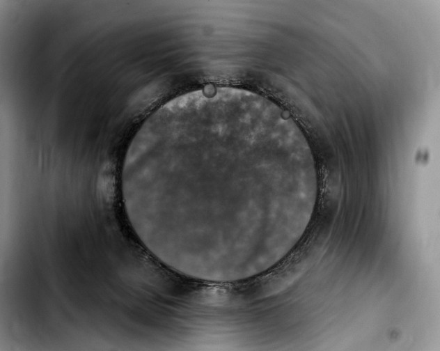 X0000103950080200810101448
