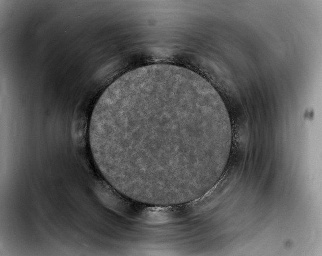 X0000103950082200810101448