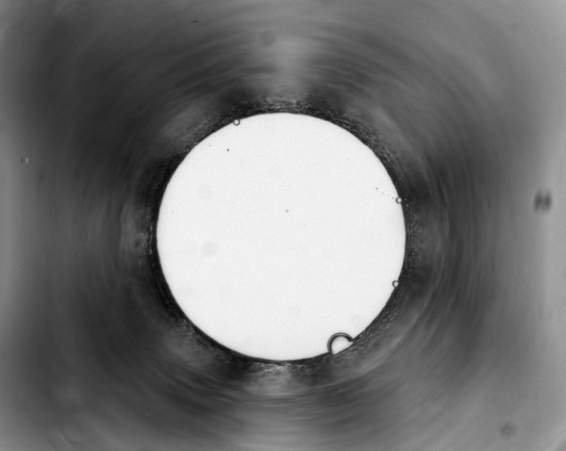 X0000103950083200810101448
