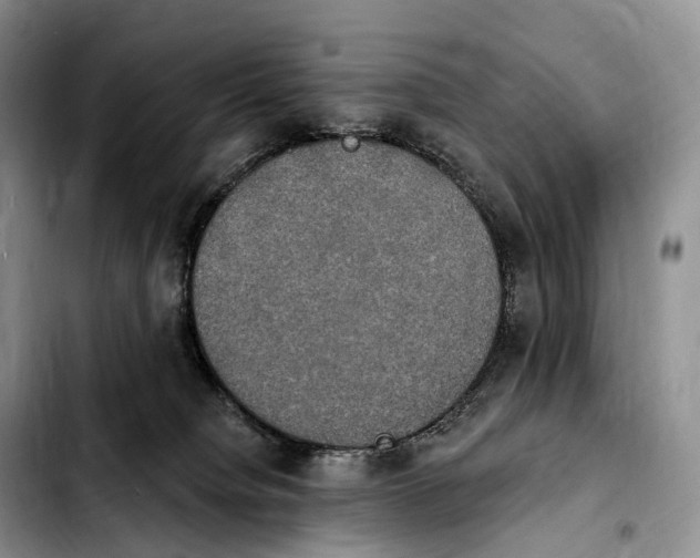 X0000103950084200810101448
