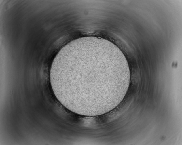 X0000103950085200810101448