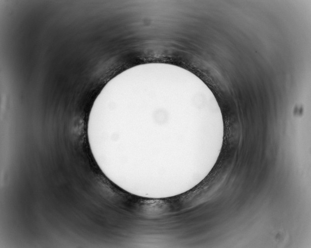 X0000103950087200810101448