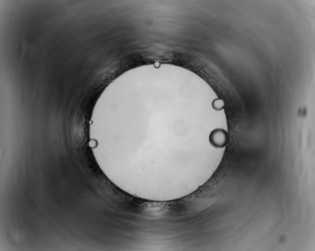 X0000103950088200810101448