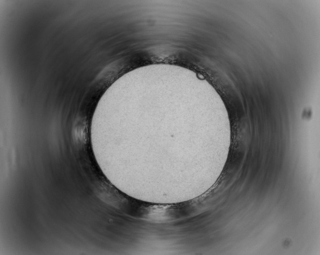 X0000103950090200810101448