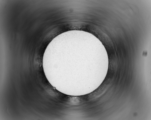 X0000103950091200810101448