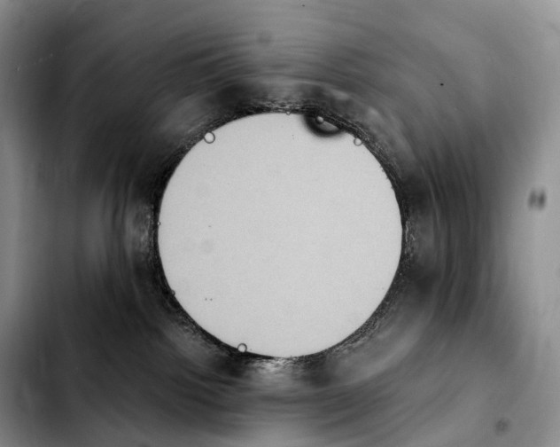 X0000103950092200810101448