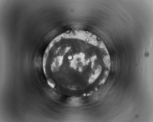 X0000103950093200810101448