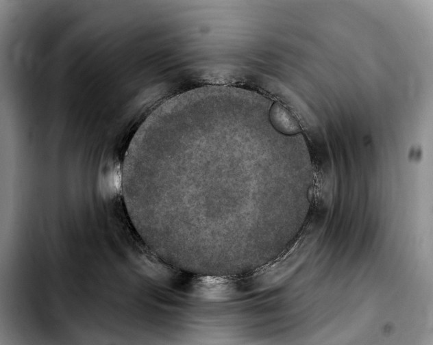 X0000103950095200810101448