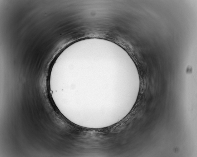 X0000103950098200810101447