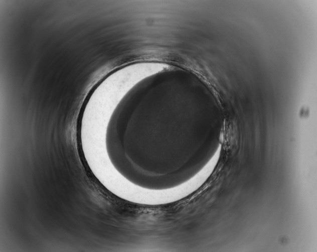 X0000103950099200810101447