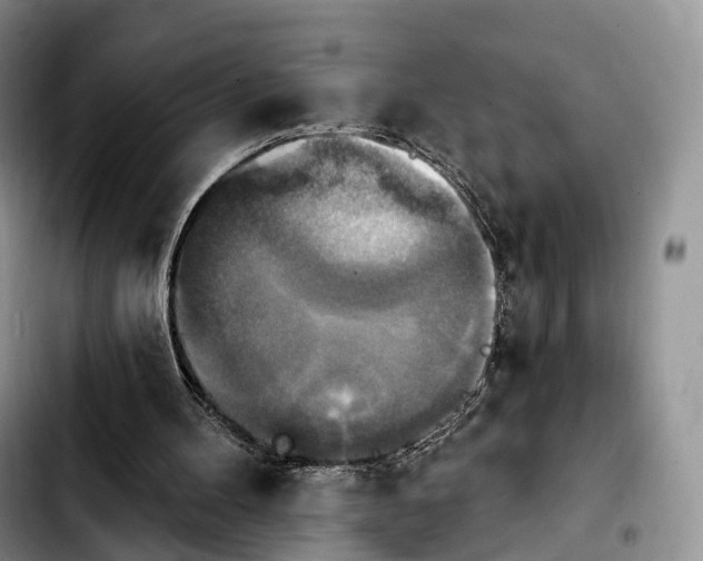 X0000103950100200810101447
