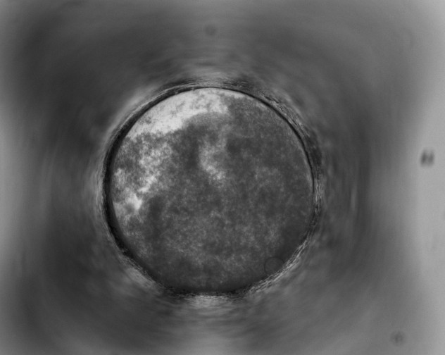 X0000103950101200810101447