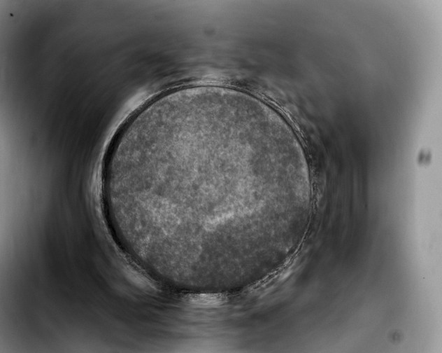 X0000103950102200810101447