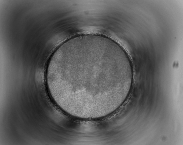 X0000103950105200810101447