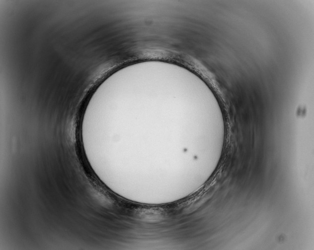 X0000103950106200810101447