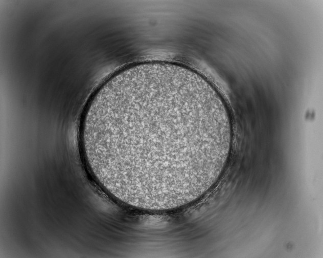 X0000103950107200810101447