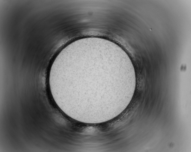 X0000103950111200810101447