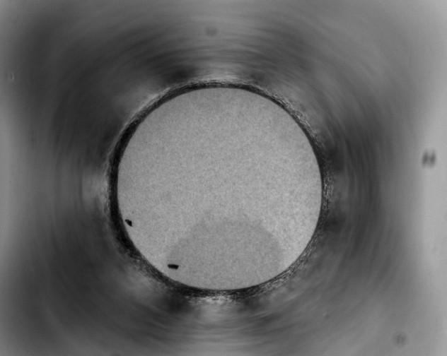 X0000103950112200810101447